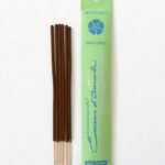 Rain Forest 10 Incense Sticks