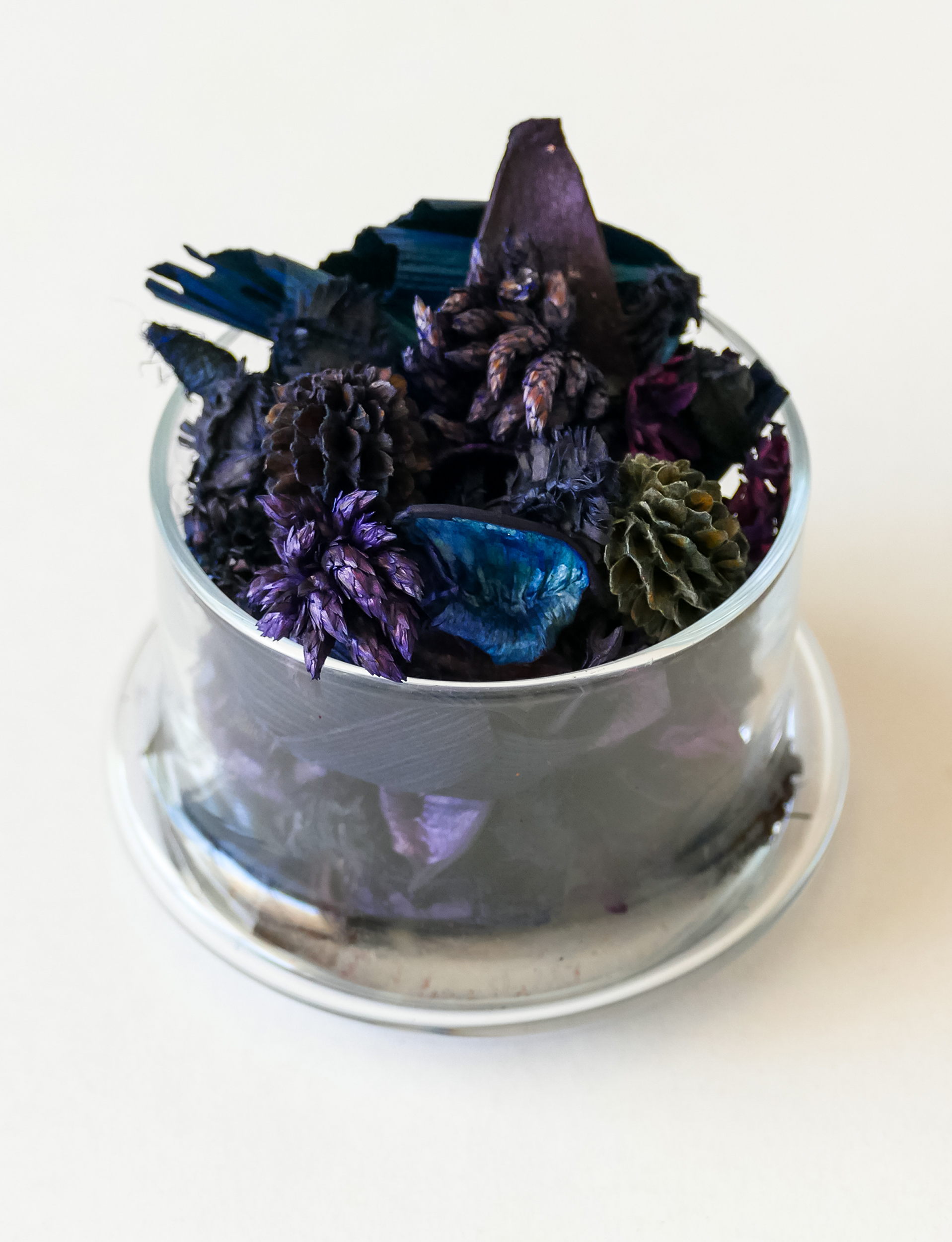 Lavender Dreams 02