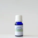 Eucalyptus Globulus 100% Natural Essential Oil - 10ml