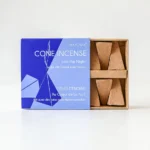 Into the Night Cone Incense