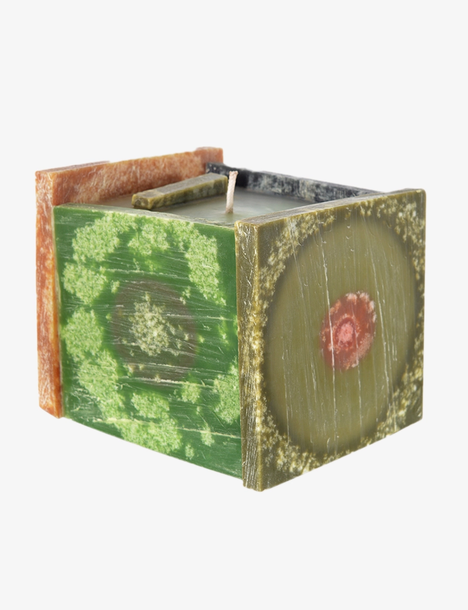 Resilience - Image 3