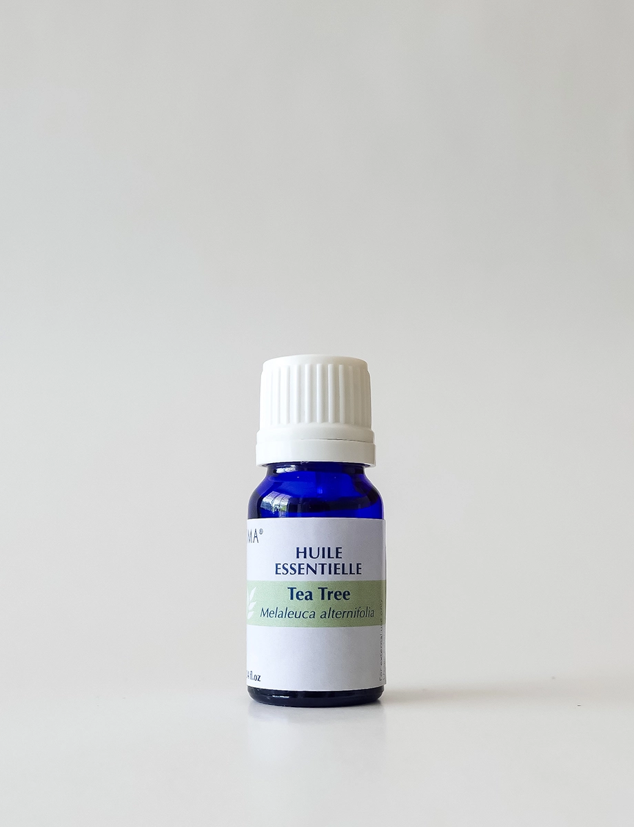 Tea Tree 100% Natural Essential Oil - 10ml - Image 2
