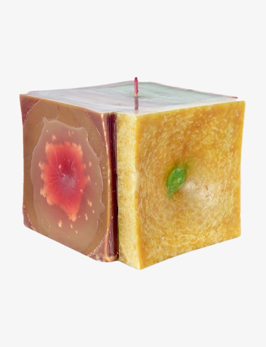 Transformation - Image 2